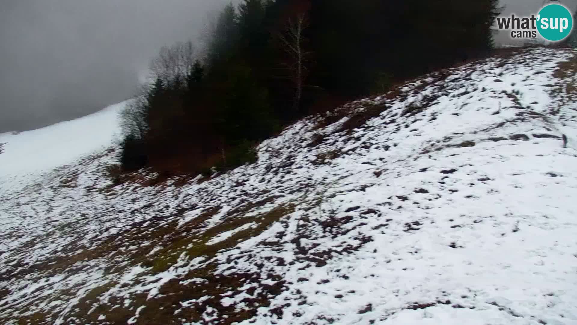 Kranjska Gora webcam VITRANC 1 | obere Station