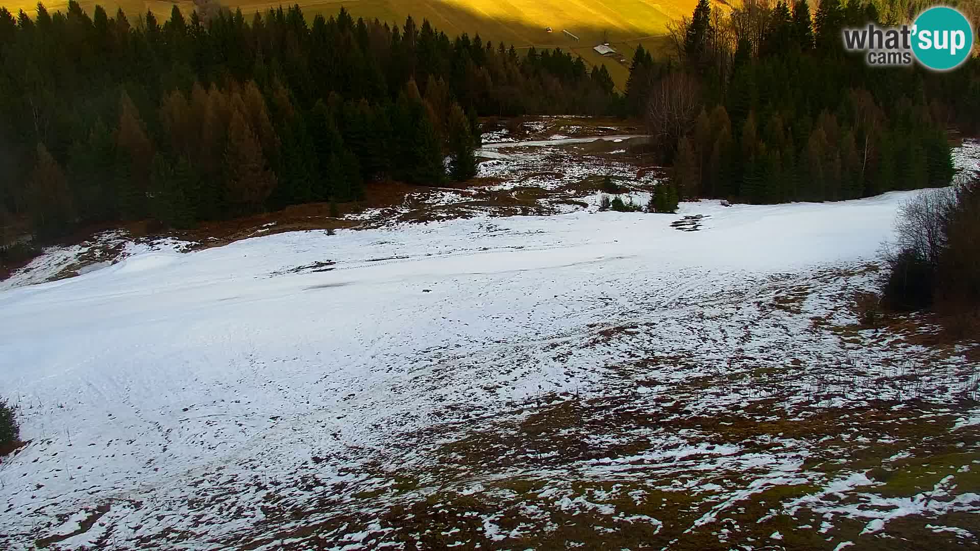 Kranjska Gora web kamera Vitranc | VITRANC 1 gornja postaja