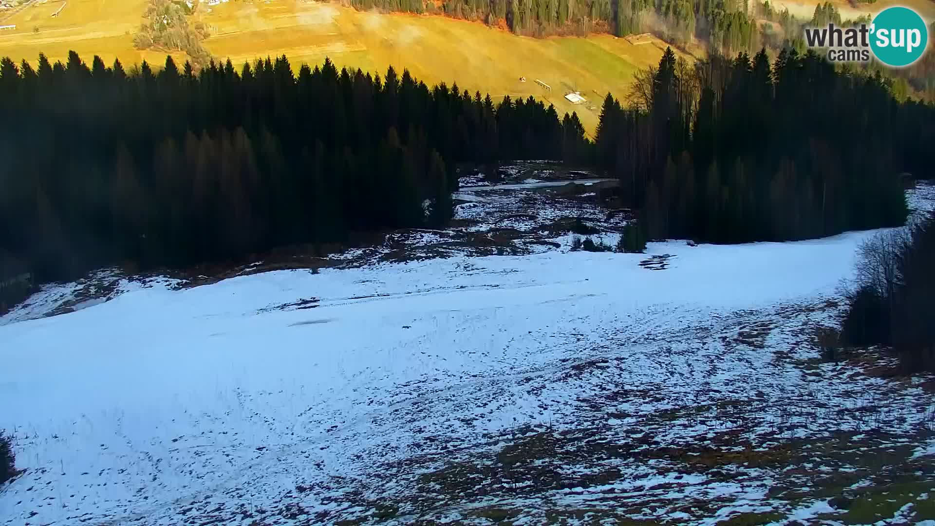 Vitranc Kranjska Gora webcam | VITRANC 1 stazione superiore