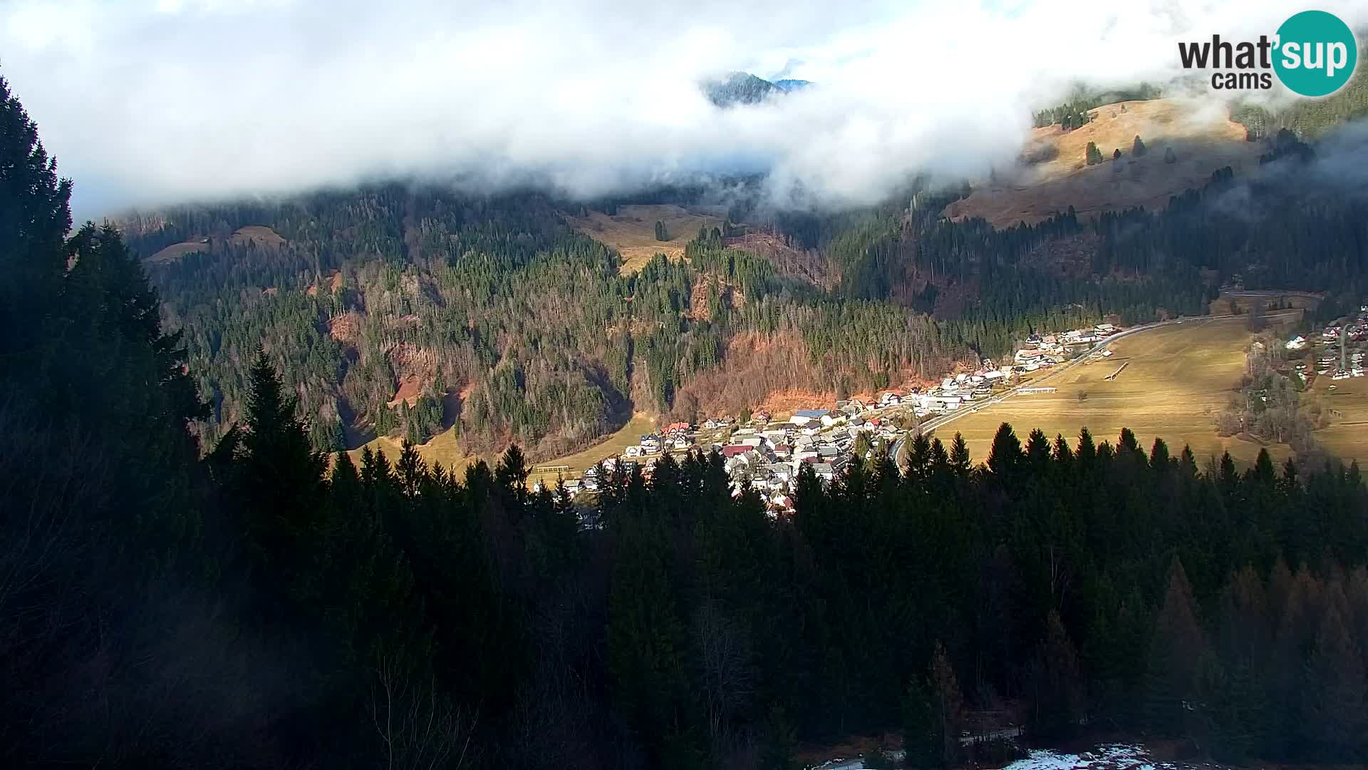Vitranc Kranjska Gora webcam | VITRANC 1 stazione superiore