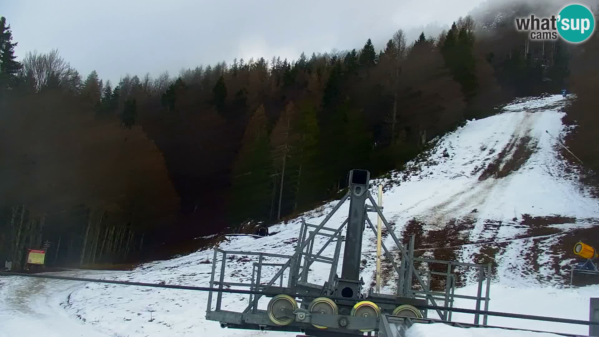 Vitranc Kranjska Gora webcam | VITRANC 1 stazione superiore