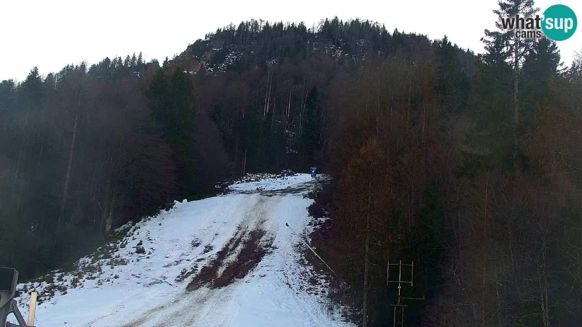 Vitranc Kranjska Gora webcam | VITRANC 1 stazione superiore
