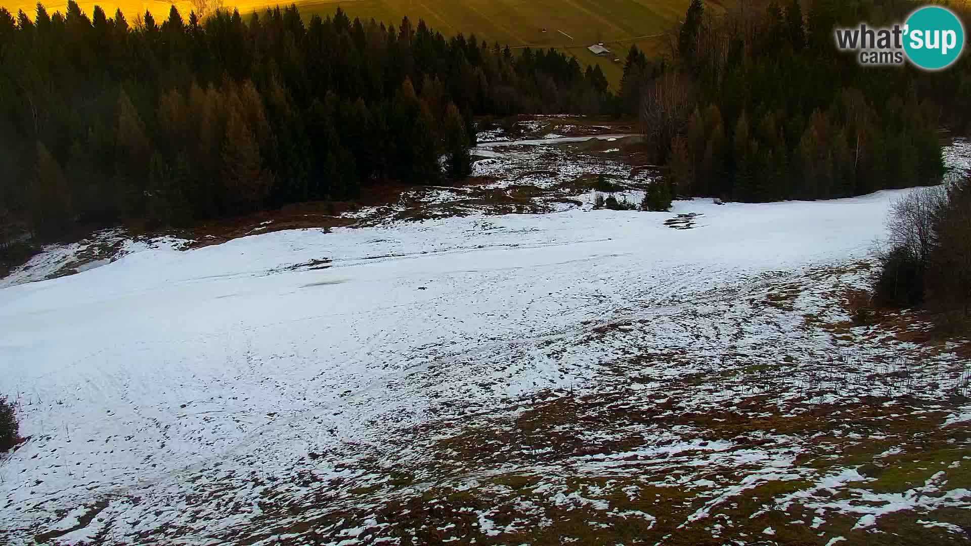 Vitranc Kranjska Gora webcam | VITRANC 1 stazione superiore