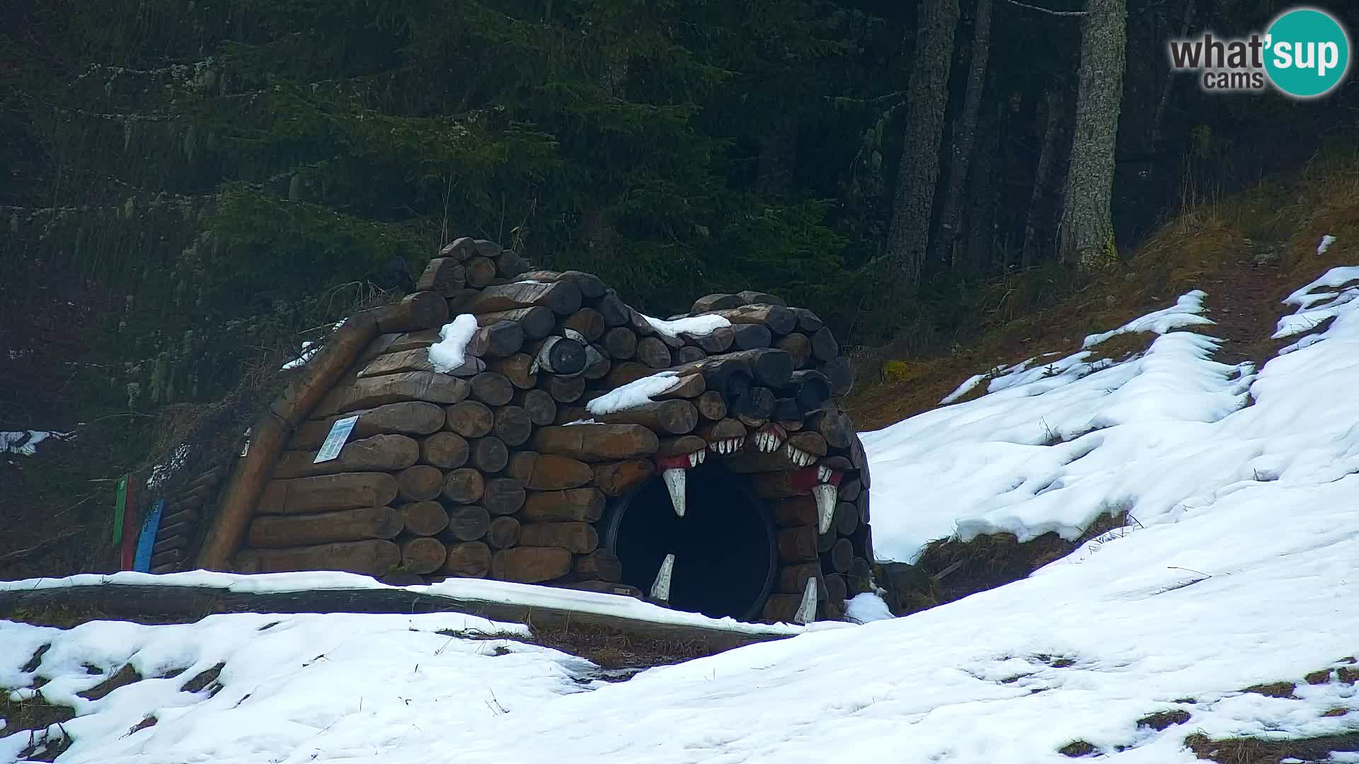 Vitranc Kranjska Gora webcam | VITRANC 1 stazione superiore