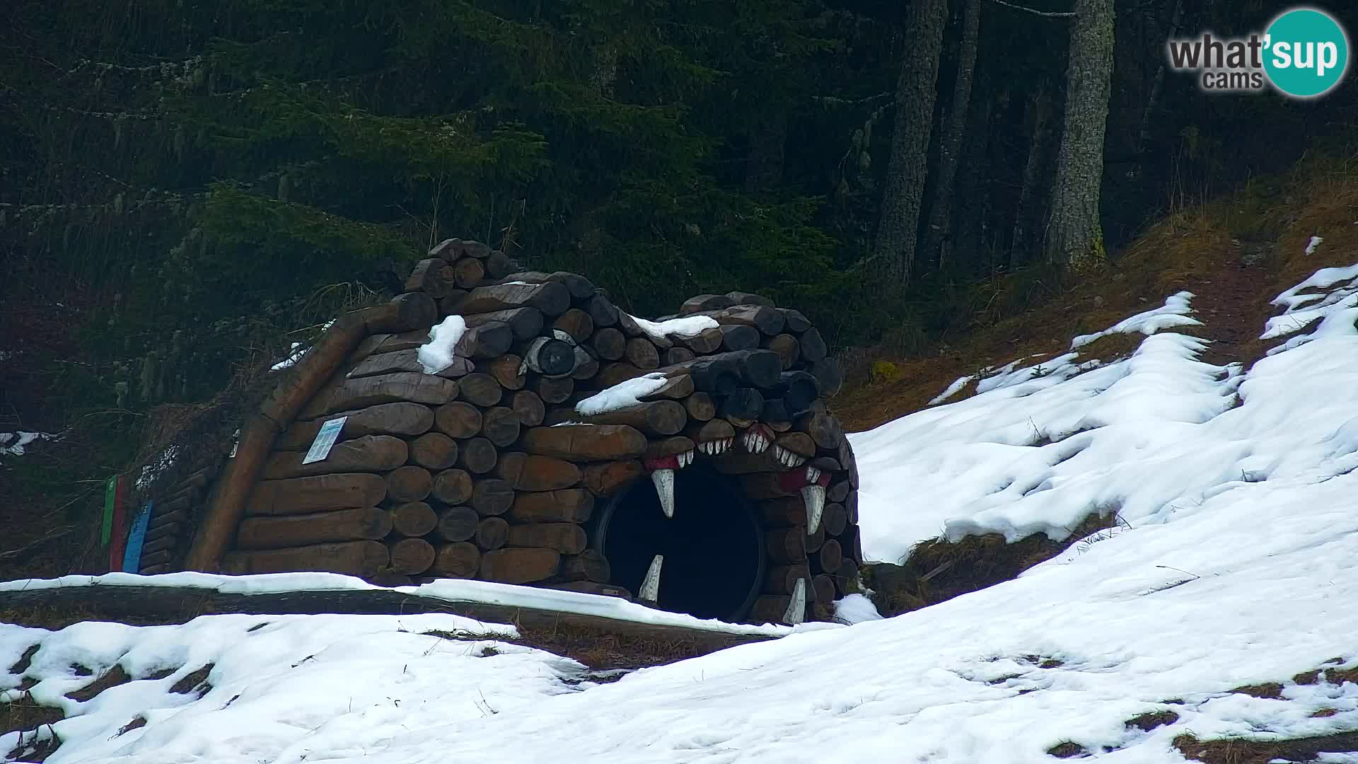 Kranjska Gora web kamera Vitranc | VITRANC 1 gornja postaja