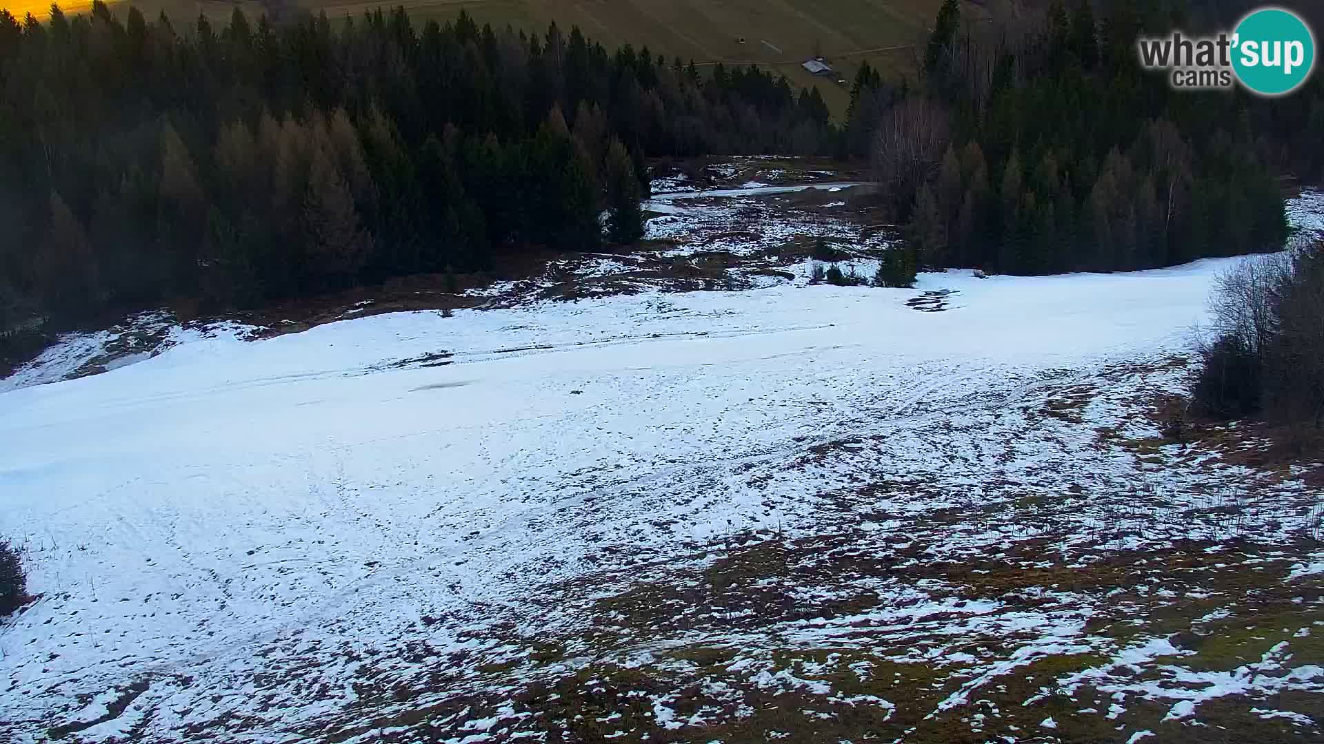 Kranjska Gora livecam VITRANC 1 | estación superior