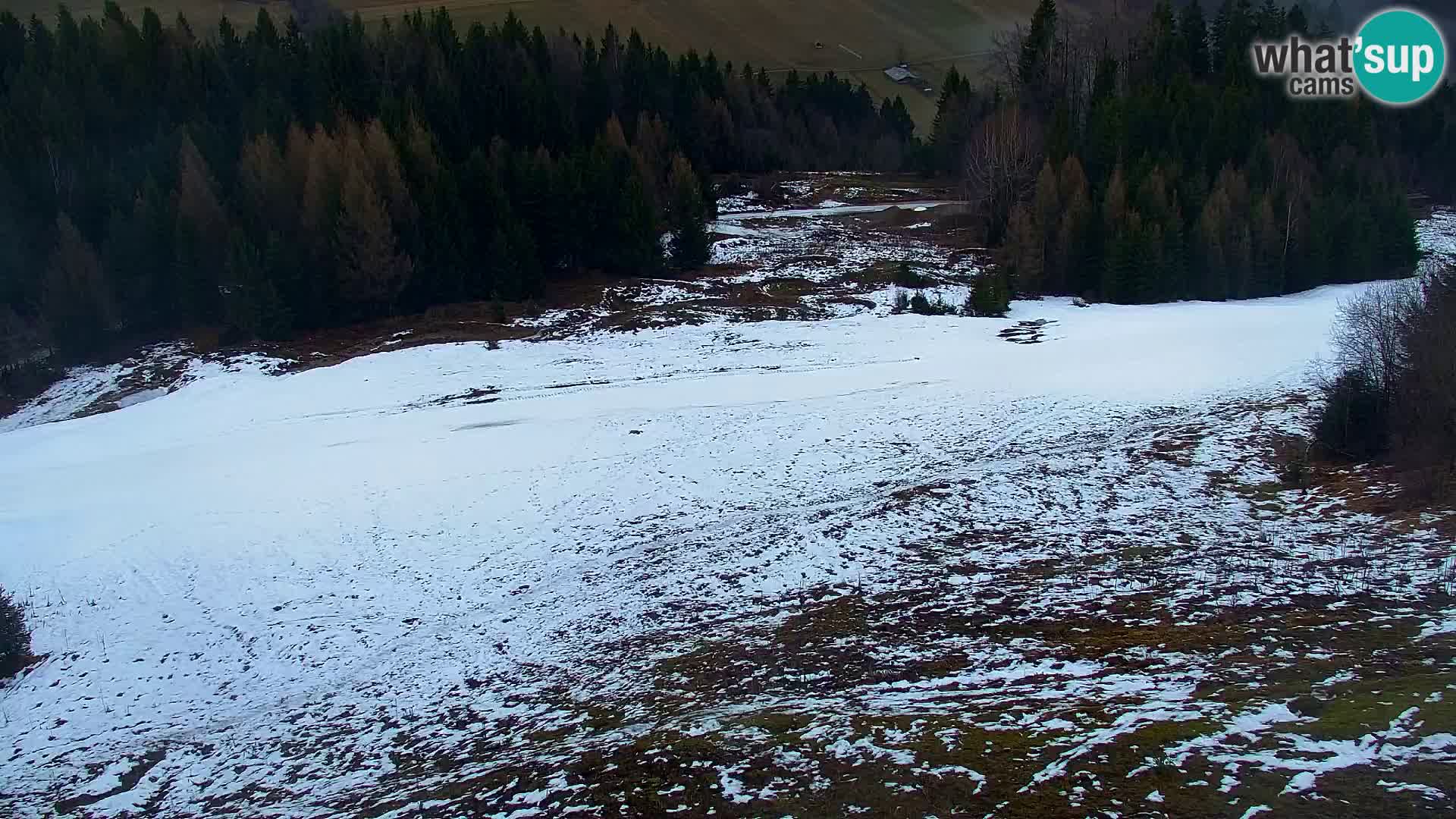 Vitranc Kranjska Gora webcam | VITRANC 1 stazione superiore