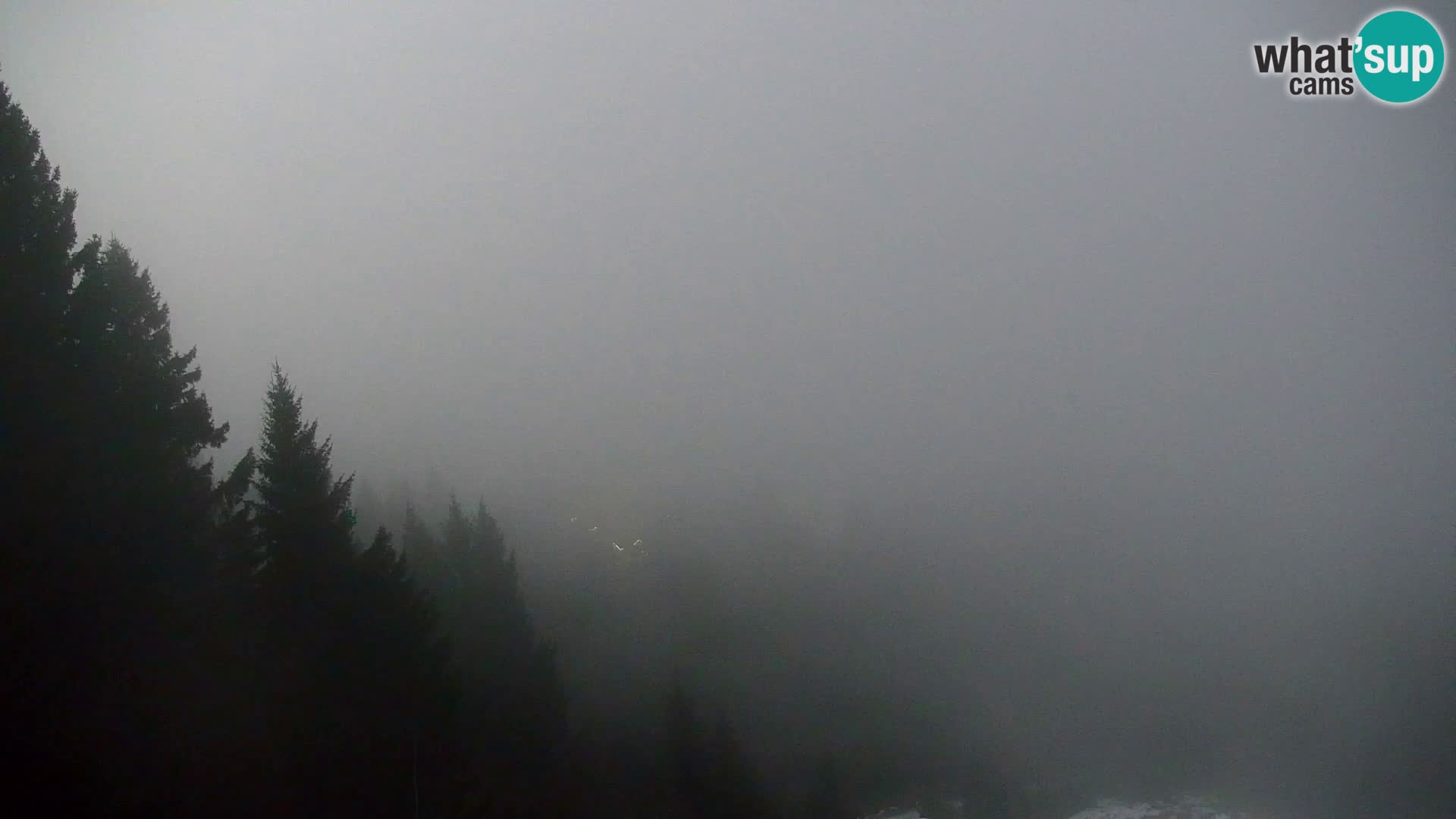 Kranjska Gora web kamera Vitranc | VITRANC 1 gornja postaja