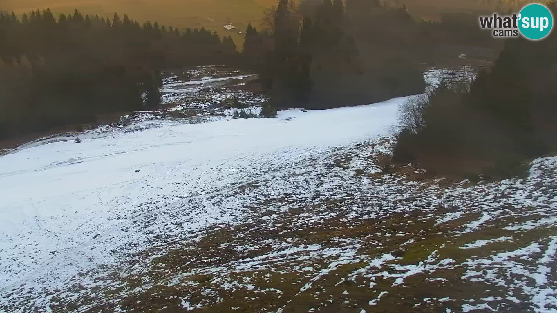 Kranjska Gora livecam VITRANC 1 | estación superior