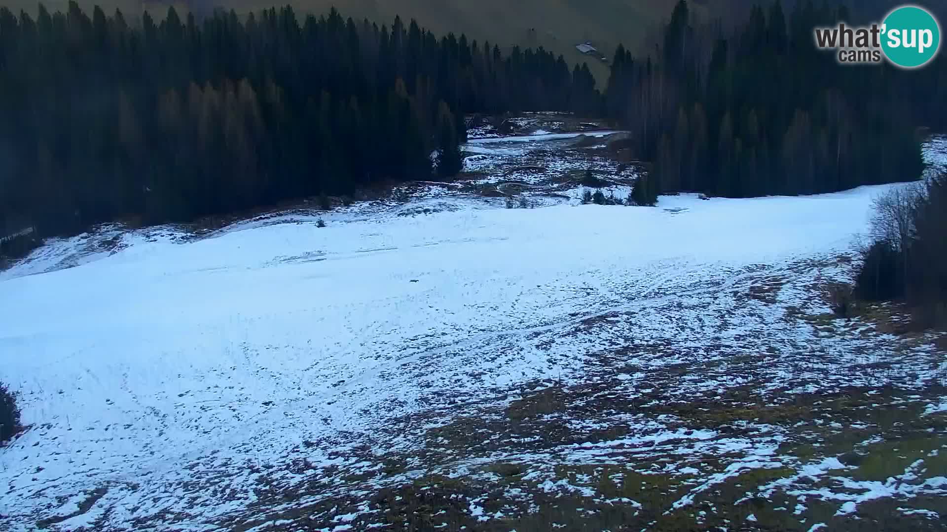 Kranjska Gora livecam VITRANC 1 | estación superior