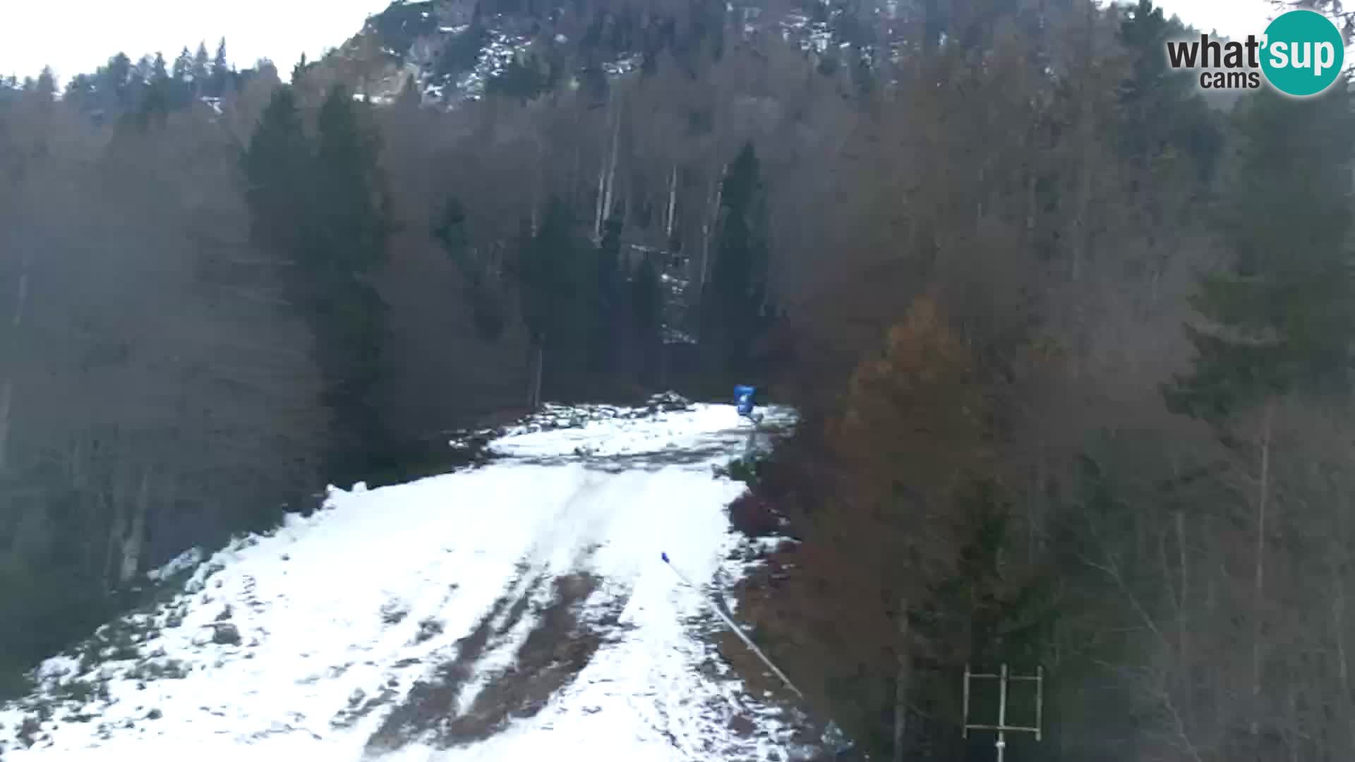 Kranjska Gora kamera VITRANC 1 | Zgornja postaja