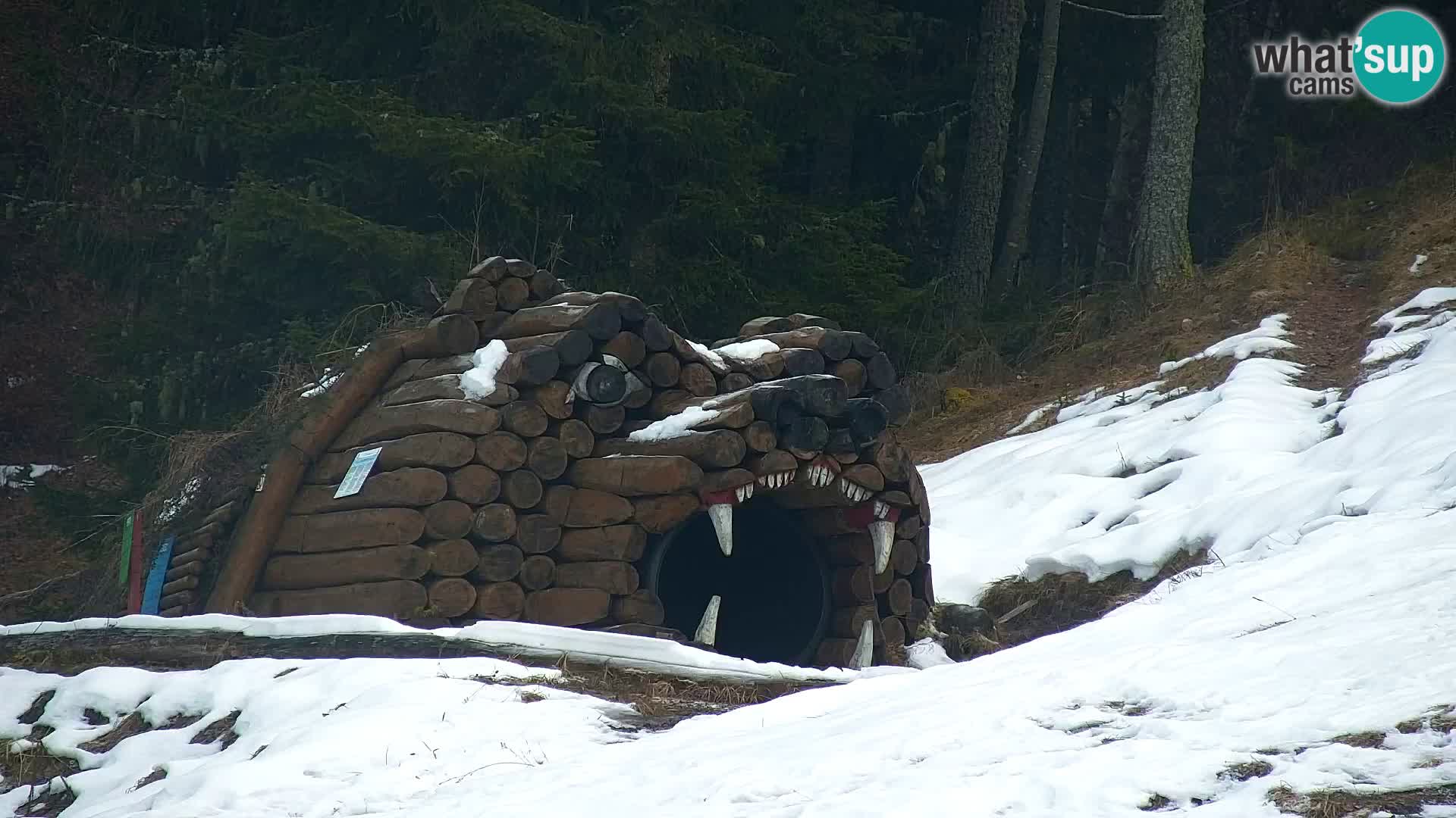 Kranjska Gora webcam VITRANC 1 | obere Station