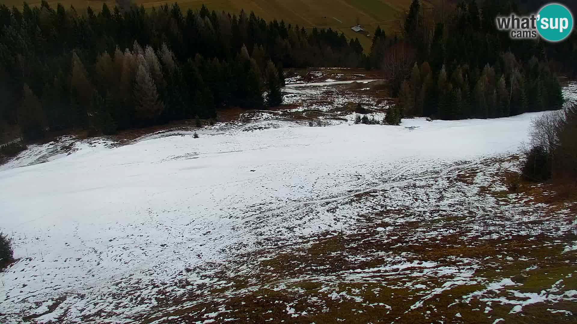 Kranjska Gora kamera VITRANC 1 | Zgornja postaja