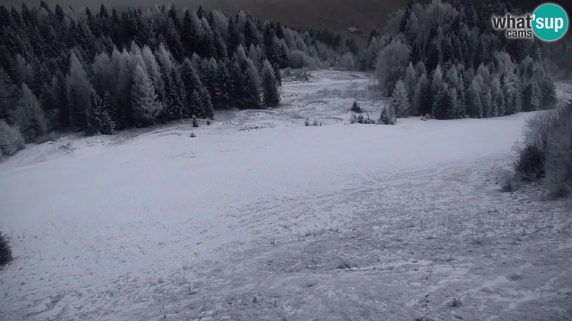 Kranjska Gora web kamera Vitranc | VITRANC 1 gornja postaja