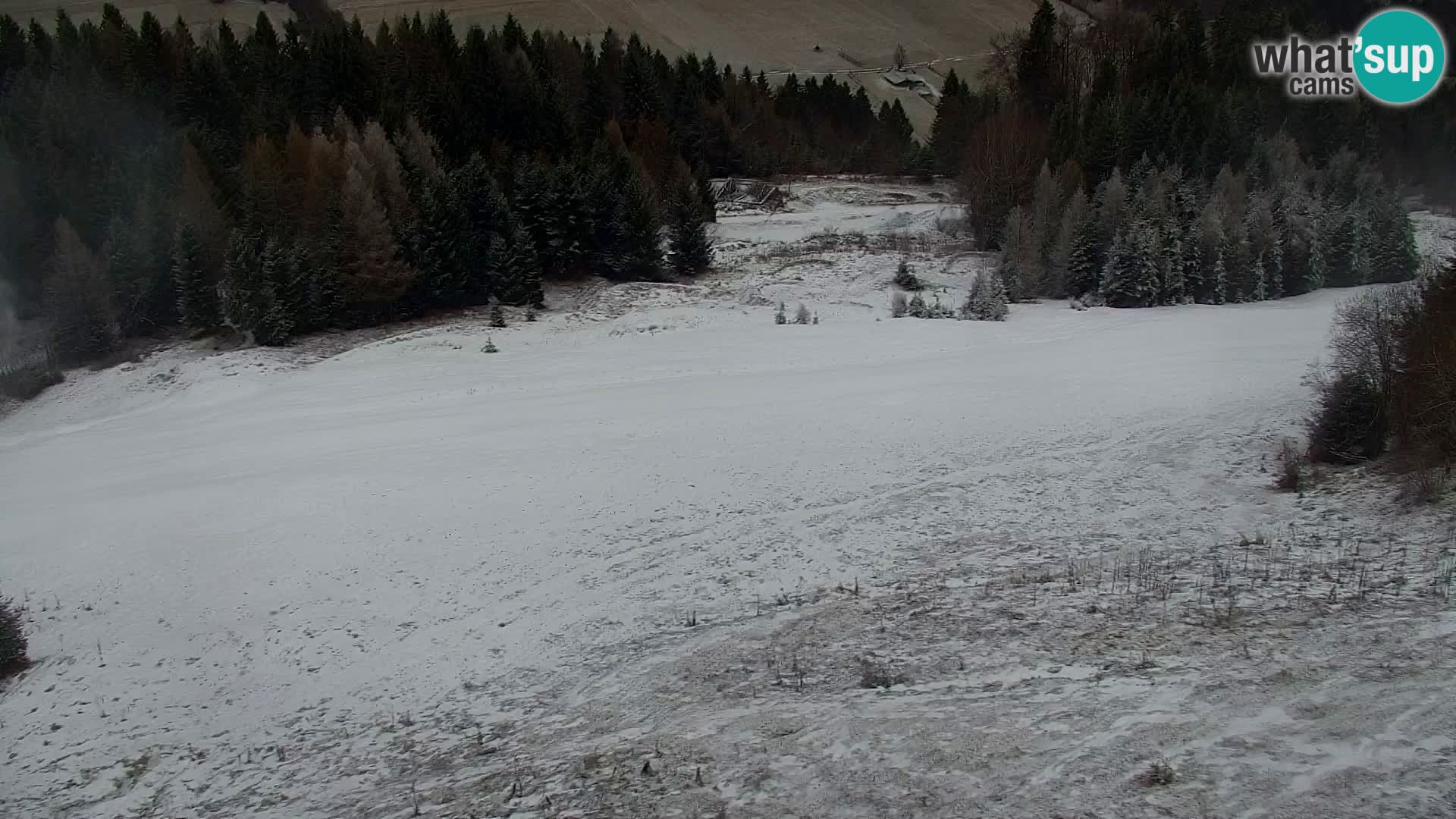 Vitranc Kranjska Gora webcam | VITRANC 1 stazione superiore