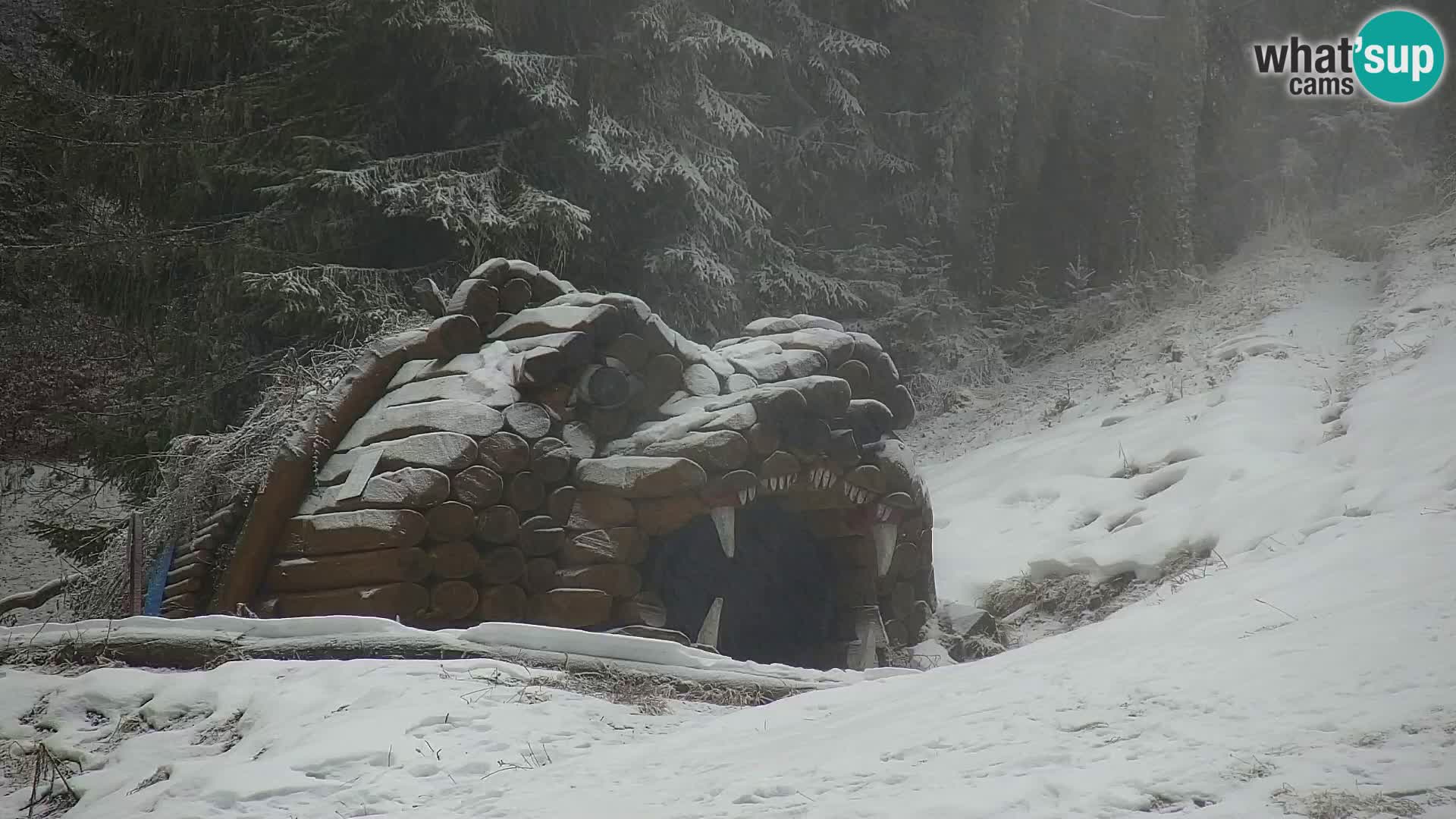 Kranjska Gora livecam VITRANC 1 | estación superior