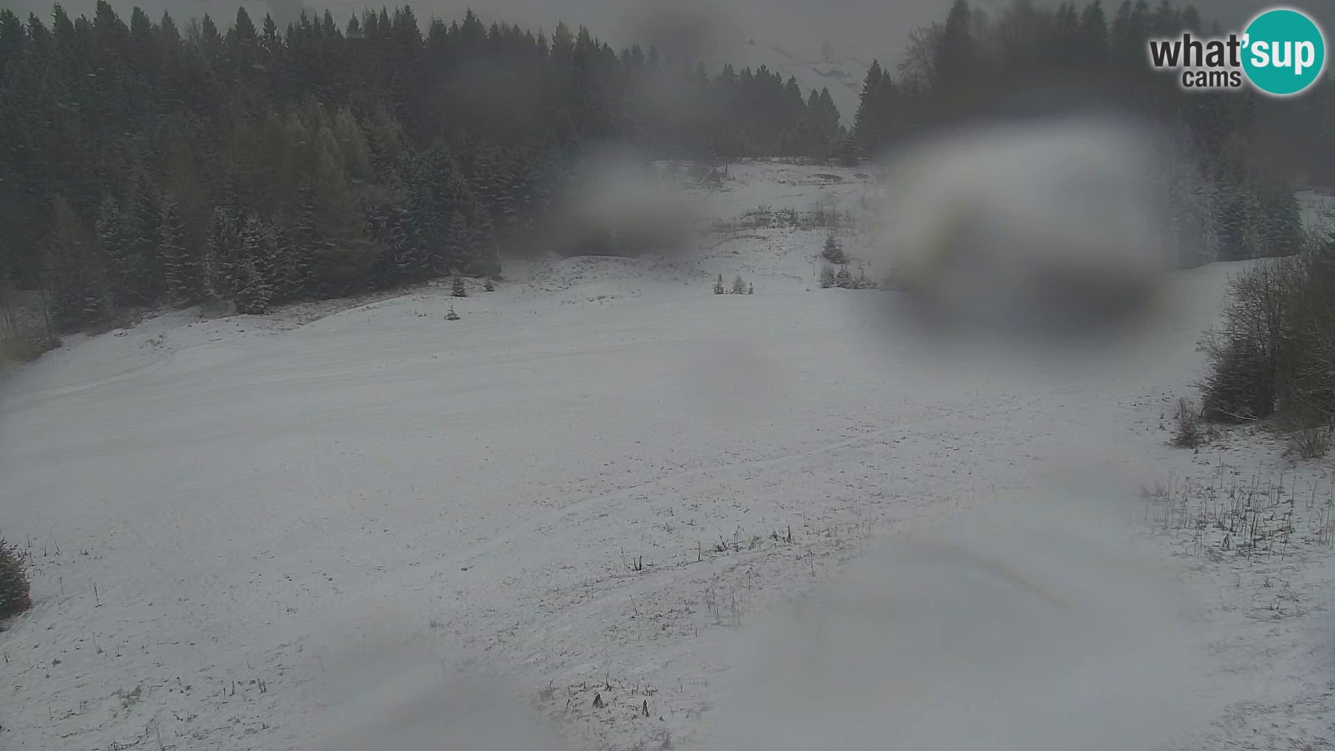 Vitranc Kranjska Gora webcam | VITRANC 1 stazione superiore