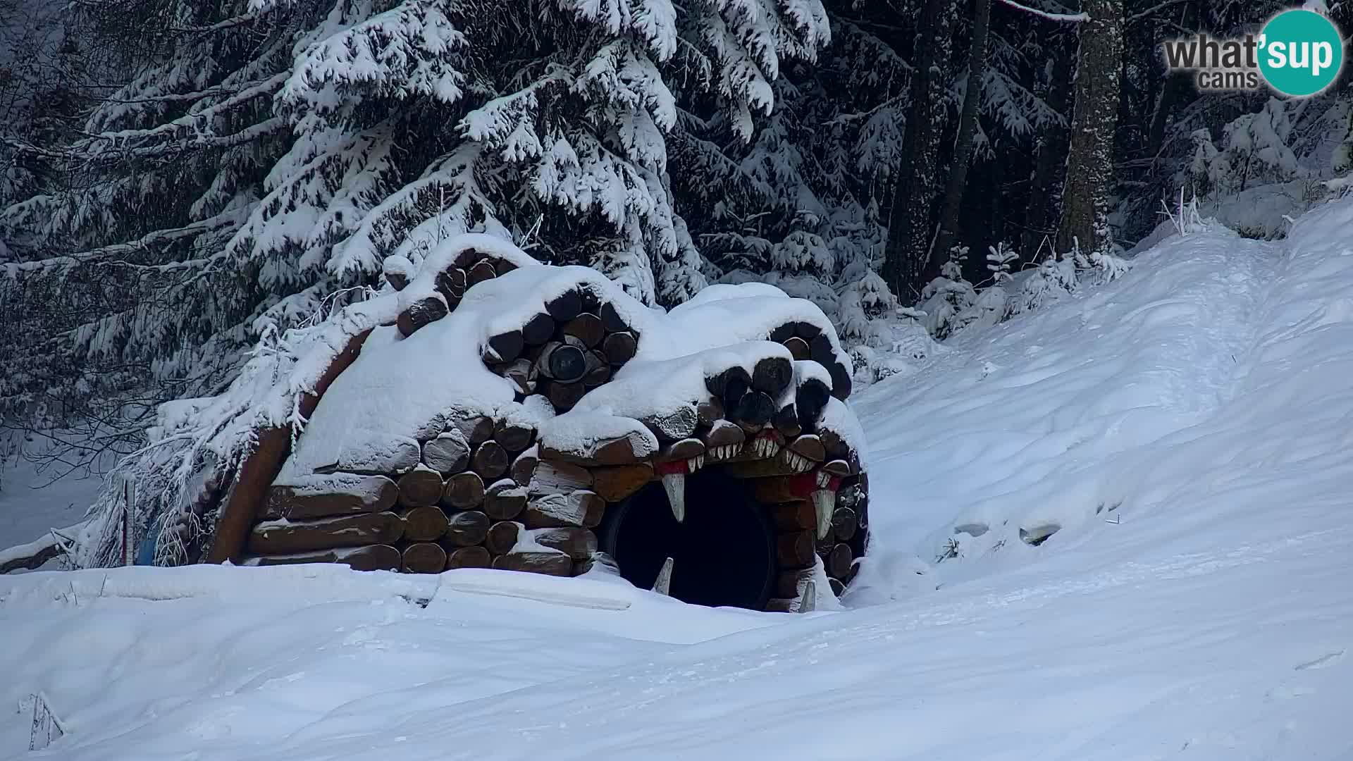 Ski Resort Kranjska Gora | VITRANC 1 upper station