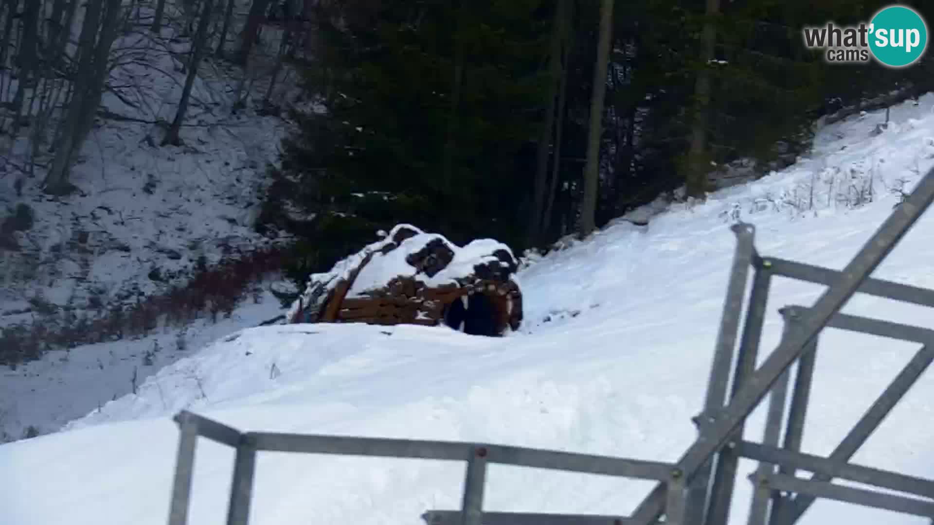 Kranjska Gora webcam VITRANC 1 | obere Station