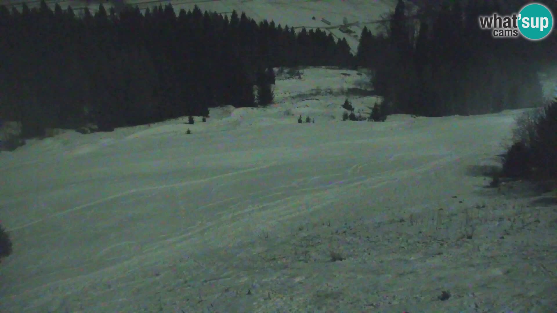 Vitranc Kranjska Gora webcam | VITRANC 1 stazione superiore