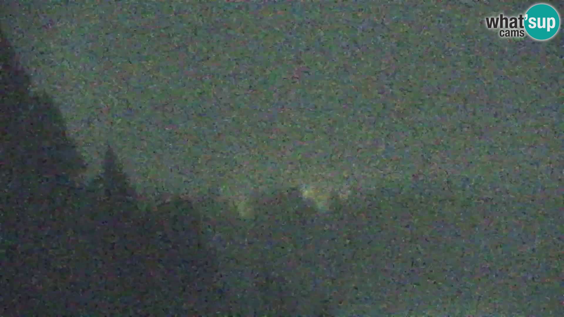 Vitranc Kranjska Gora webcam | VITRANC 1 stazione superiore