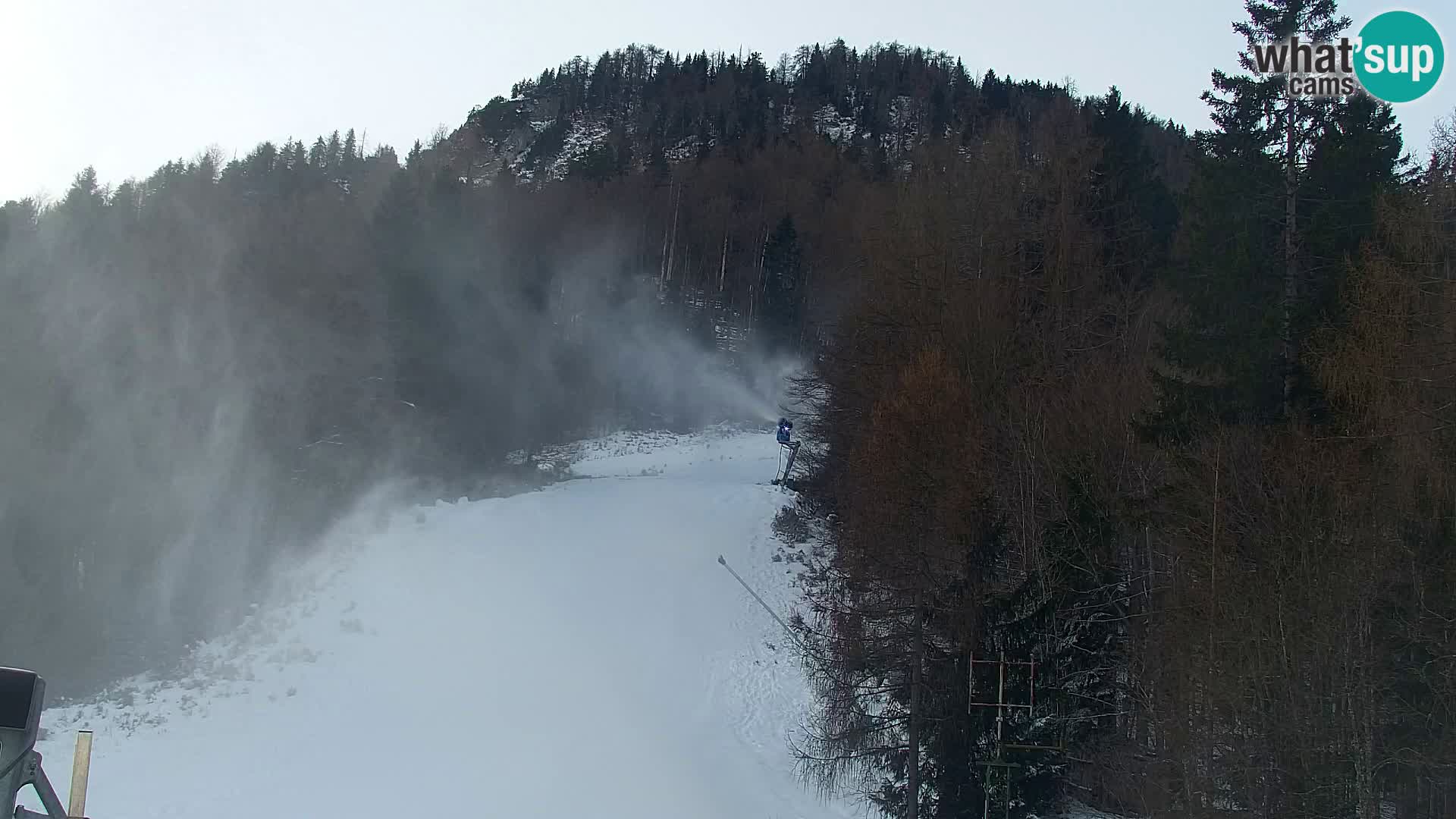 Ski Resort Kranjska Gora | VITRANC 1 upper station