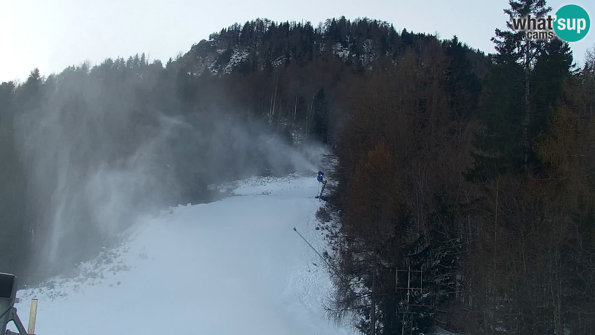 Ski Resort Kranjska Gora | VITRANC 1 upper station