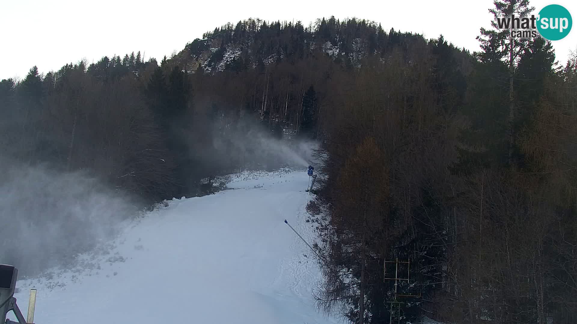 Estación de esquí Kranjska Gora | Estación superior VITRANC 1