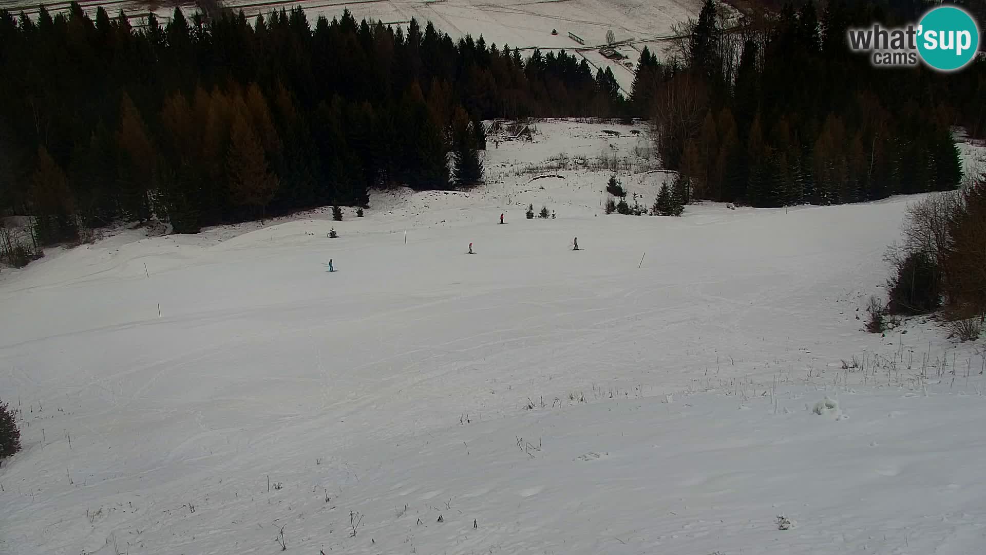Kranjska Gora web kamera Vitranc | VITRANC 1 gornja postaja