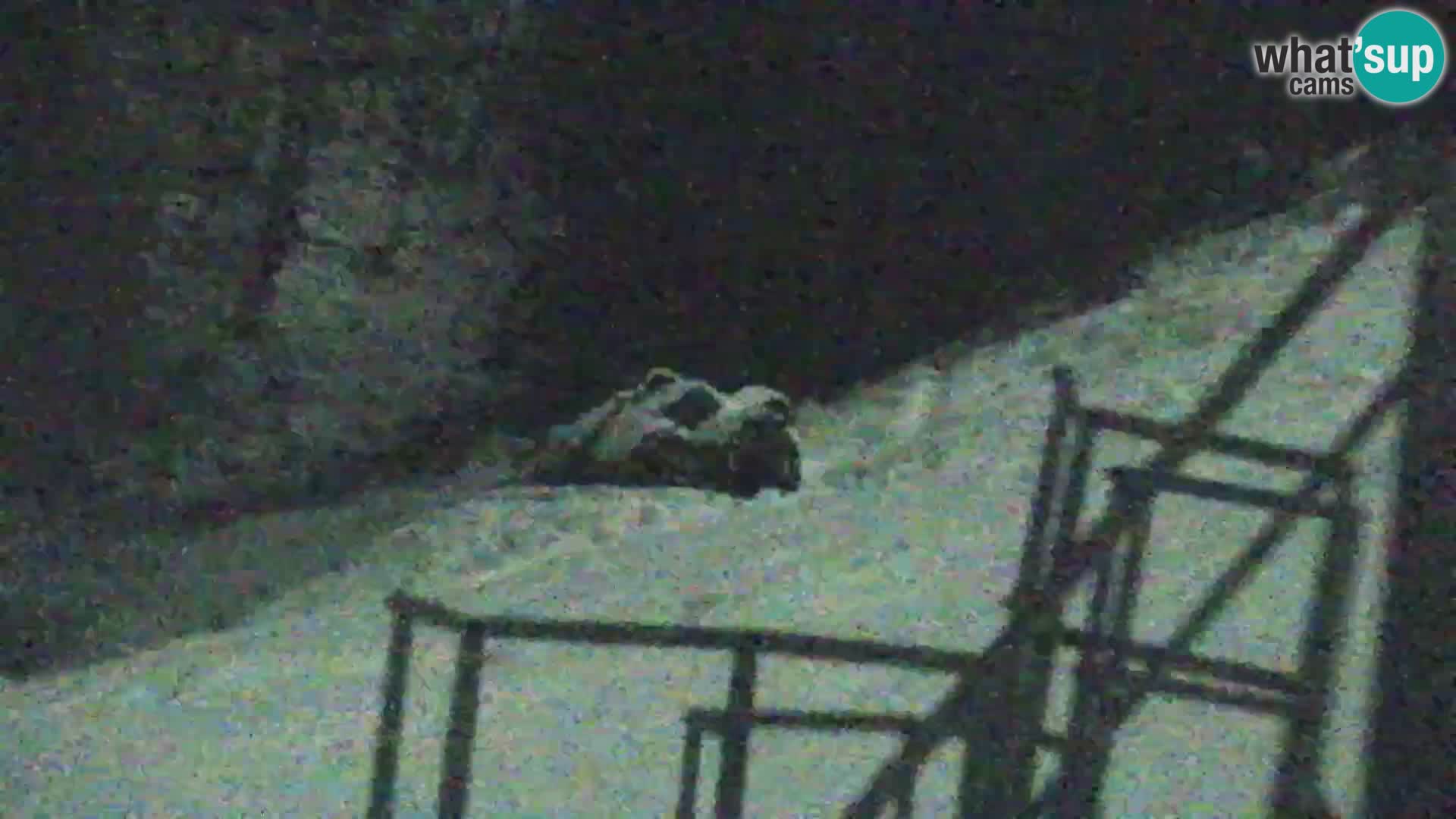 Vitranc Kranjska Gora webcam | VITRANC 1 stazione superiore