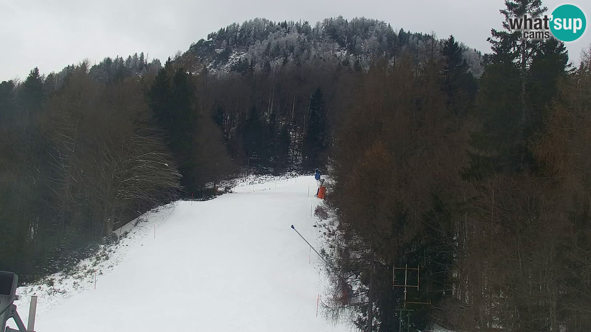 Ski Resort Kranjska Gora | VITRANC 1 upper station