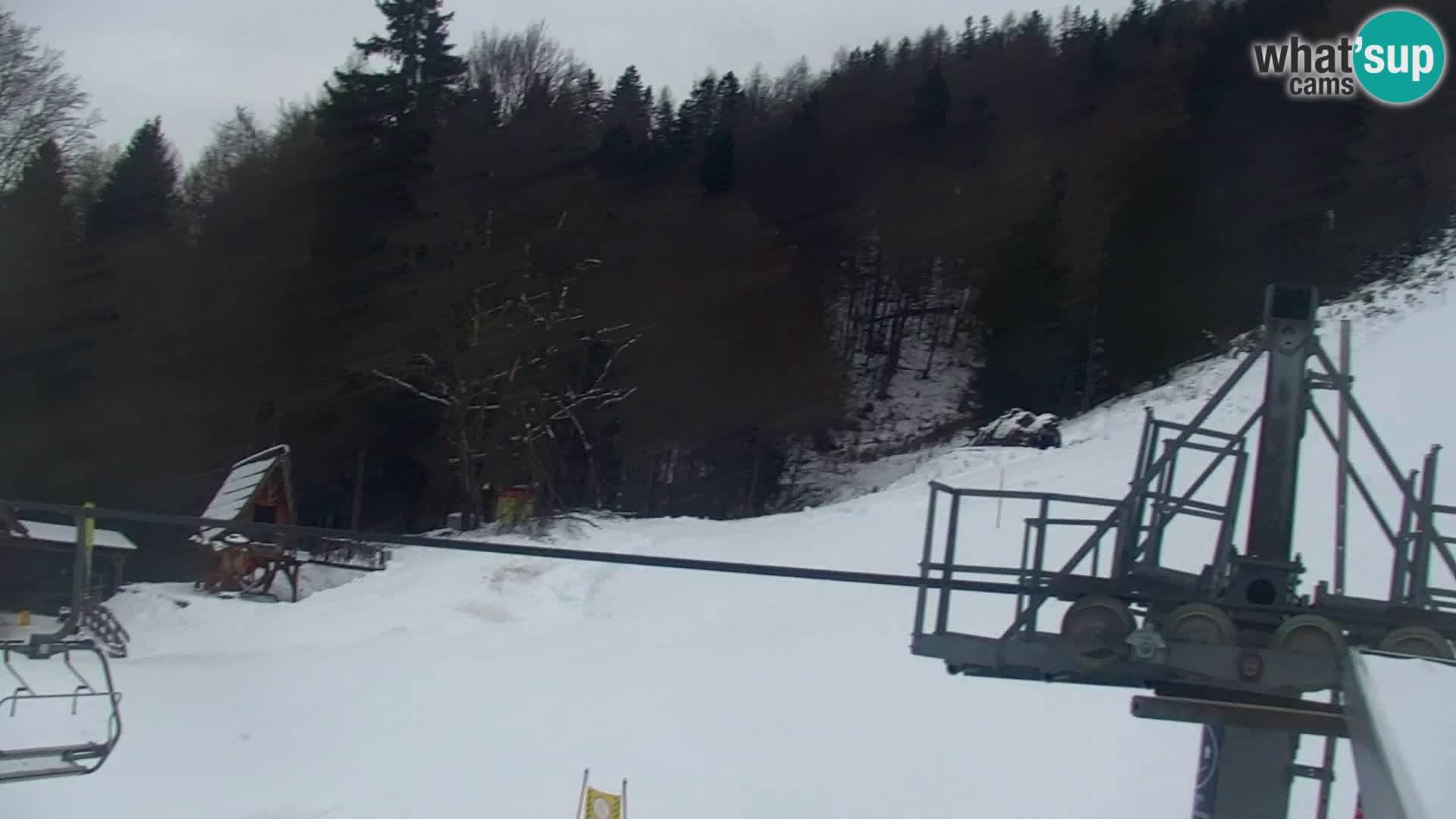 Vitranc Kranjska Gora webcam | VITRANC 1 stazione superiore