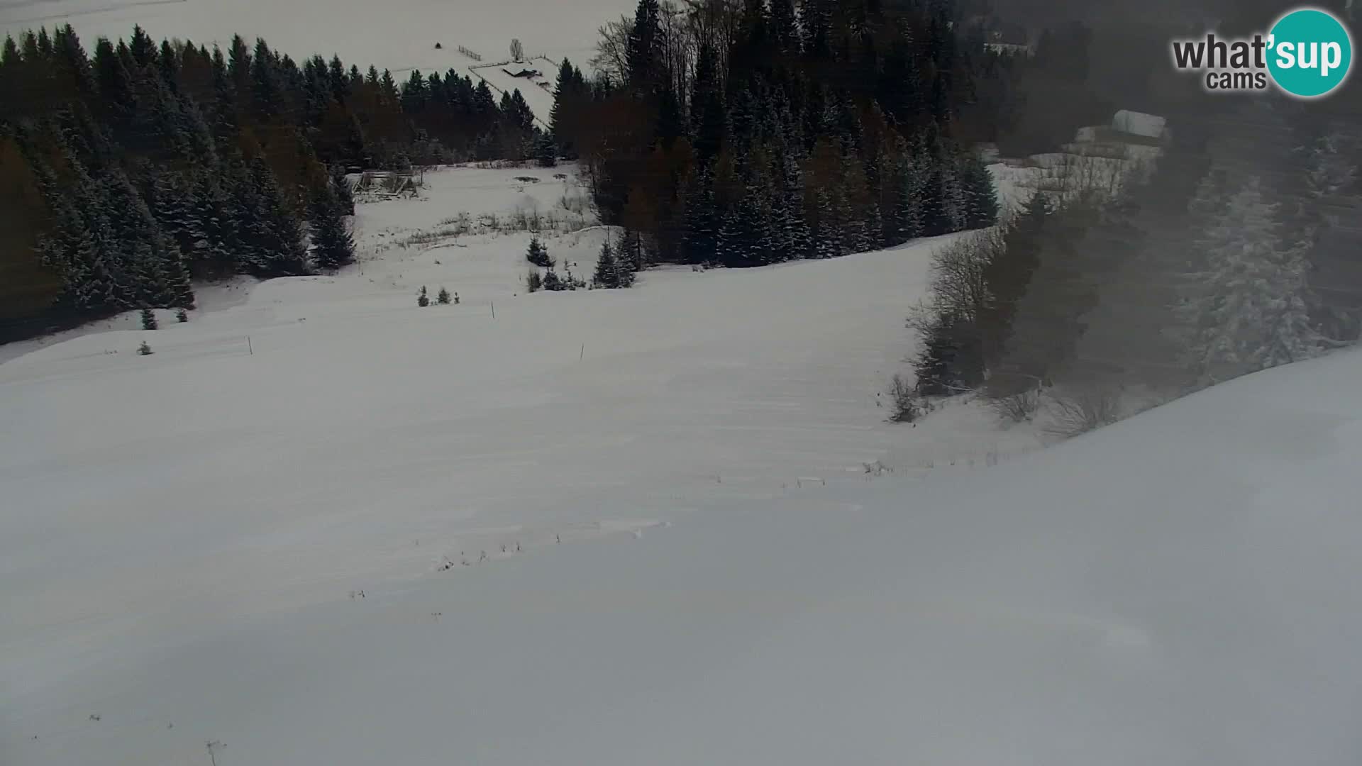 Vitranc Kranjska Gora webcam | VITRANC 1 stazione superiore