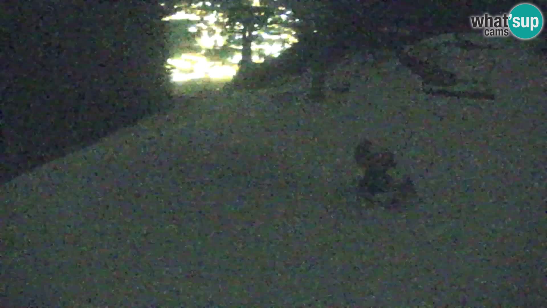 Estación de esquí Kranjska Gora | Estación superior VITRANC 1