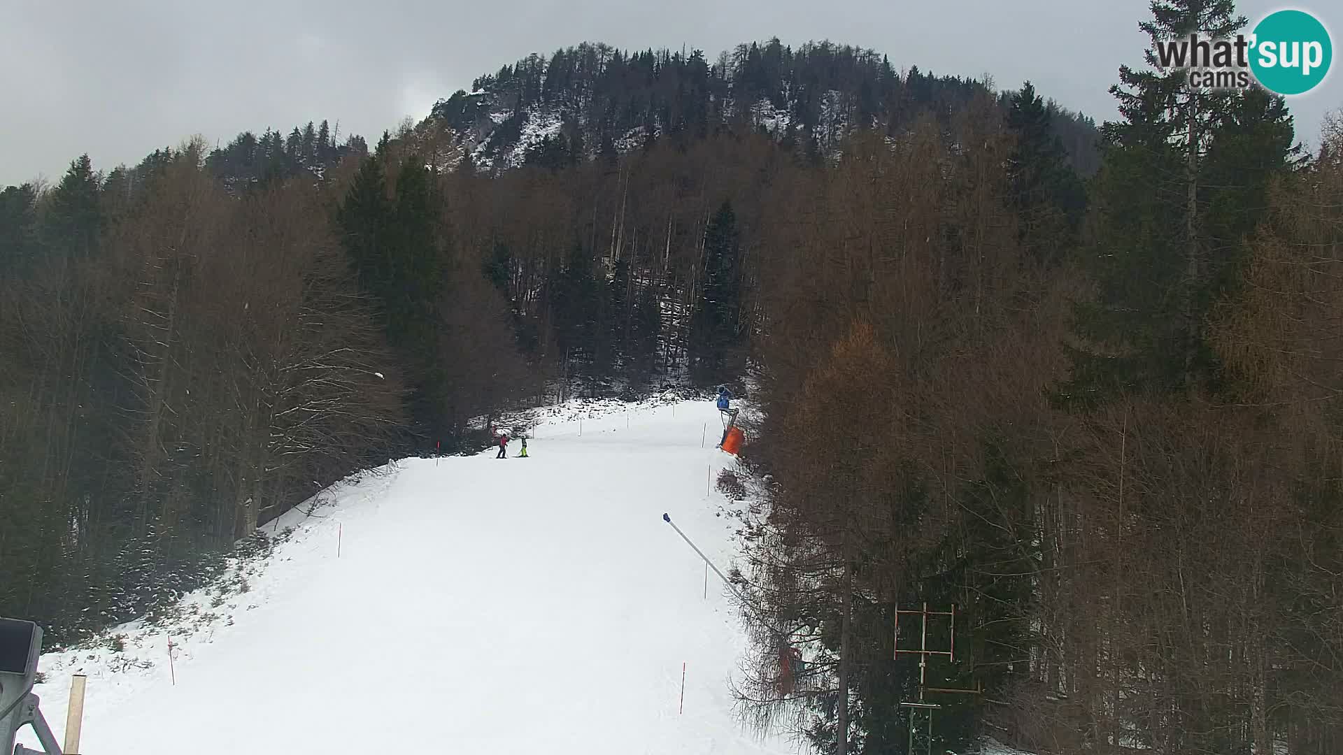 Kranjska Gora kamera VITRANC 1 | Zgornja postaja