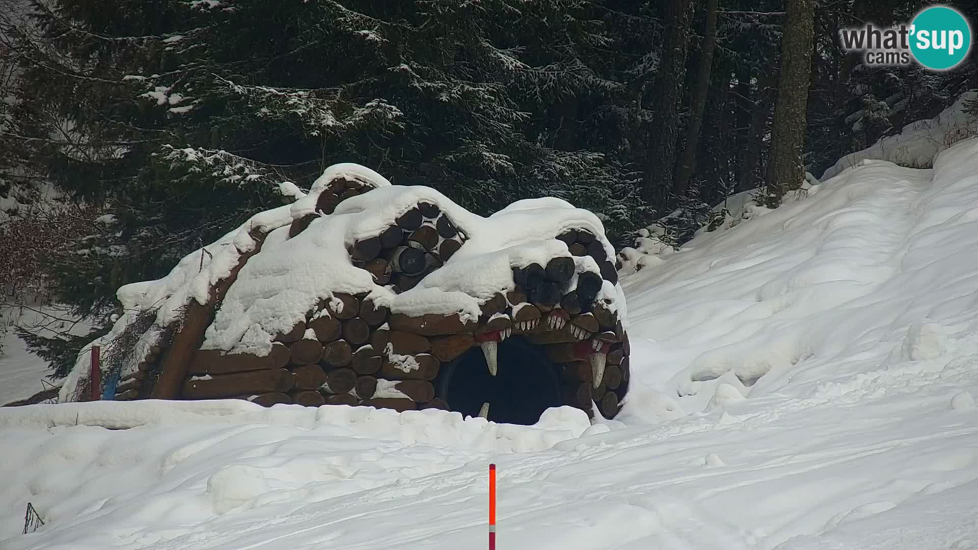 Kranjska Gora web kamera Vitranc | VITRANC 1 gornja postaja