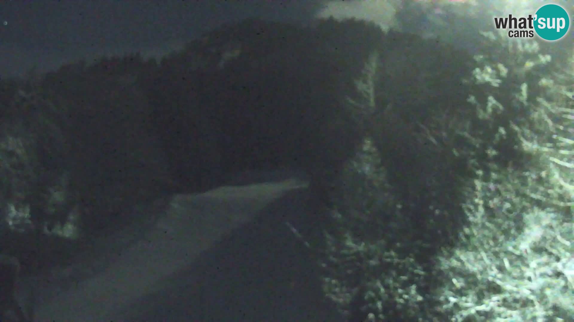 Estación de esquí Kranjska Gora | Estación superior VITRANC 1