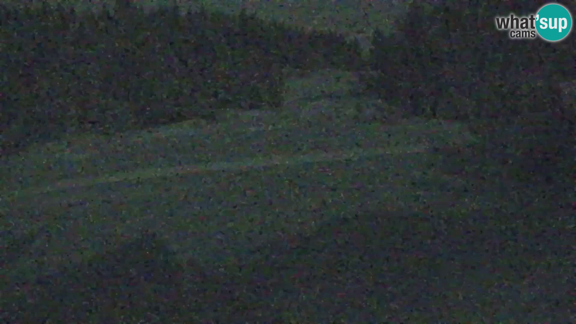 Vitranc Kranjska Gora webcam | VITRANC 1 stazione superiore