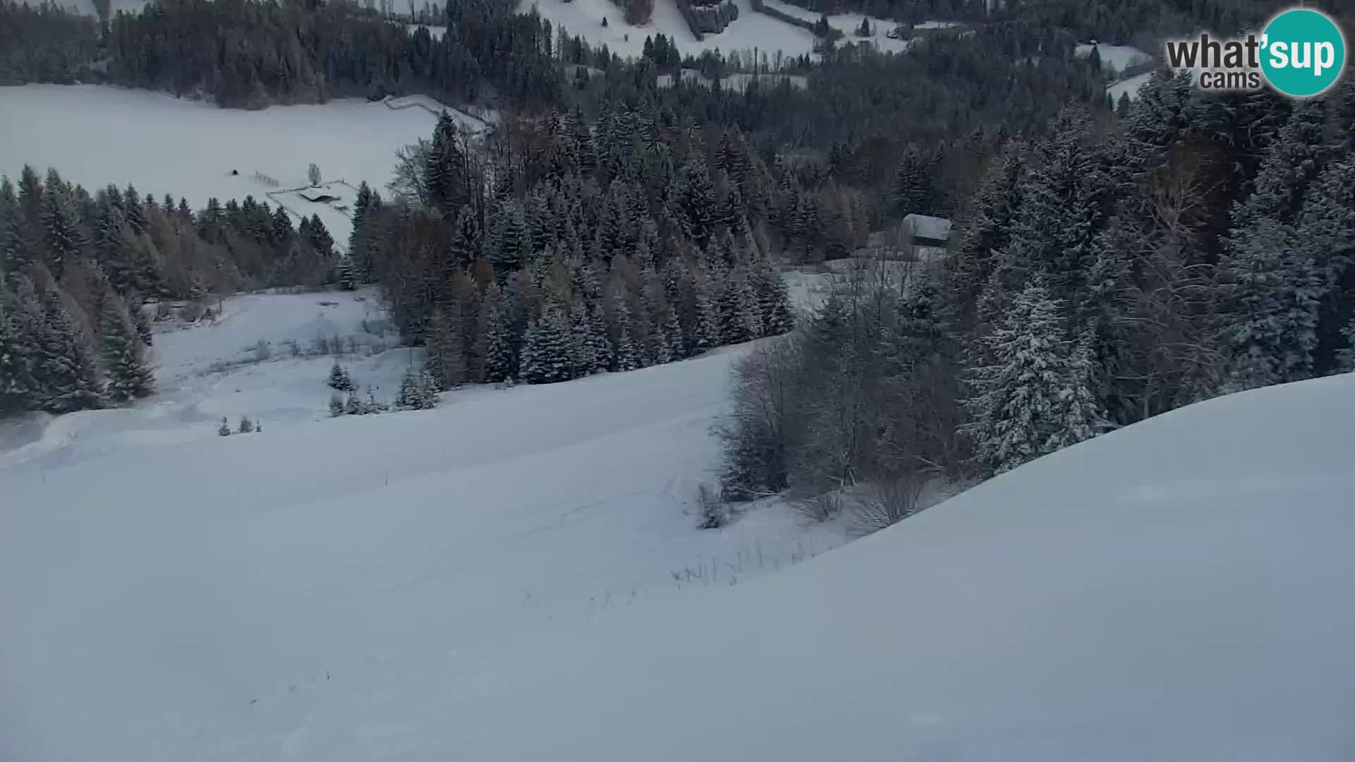 Kranjska Gora livecam VITRANC 1 | estación superior