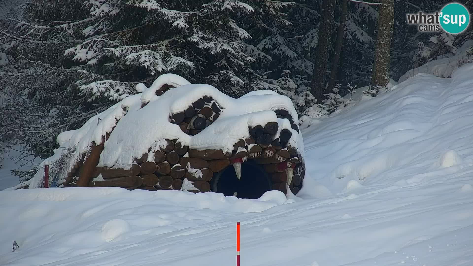Vitranc Kranjska Gora webcam | VITRANC 1 stazione superiore
