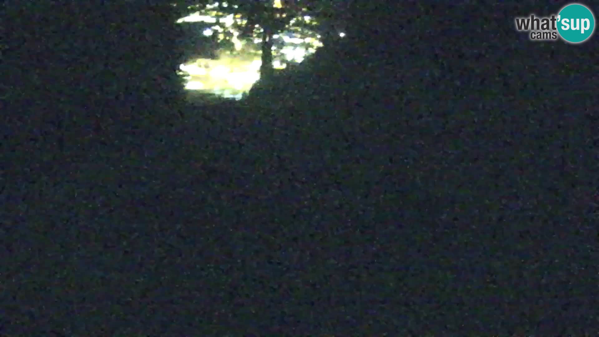 Vitranc Kranjska Gora webcam | VITRANC 1 stazione superiore