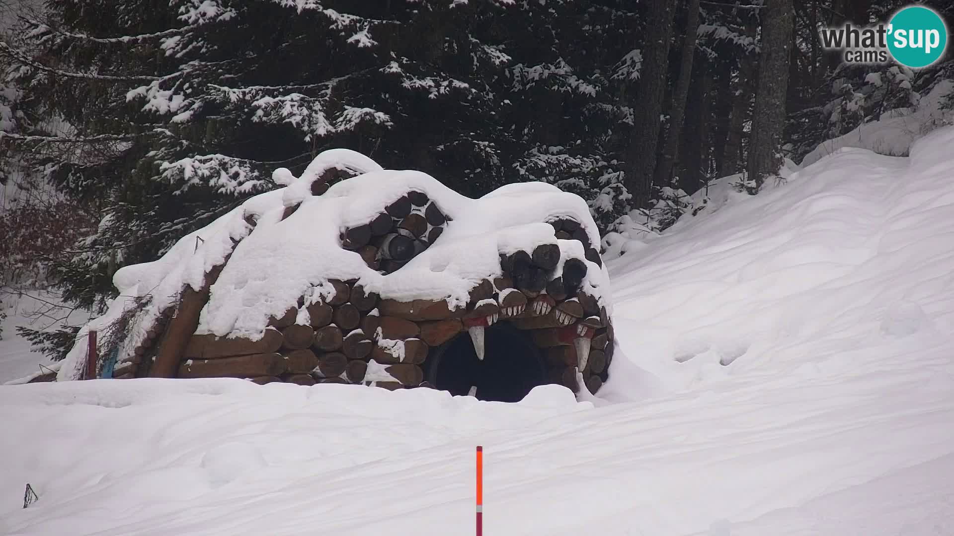 Kranjska Gora kamera VITRANC 1 | Zgornja postaja