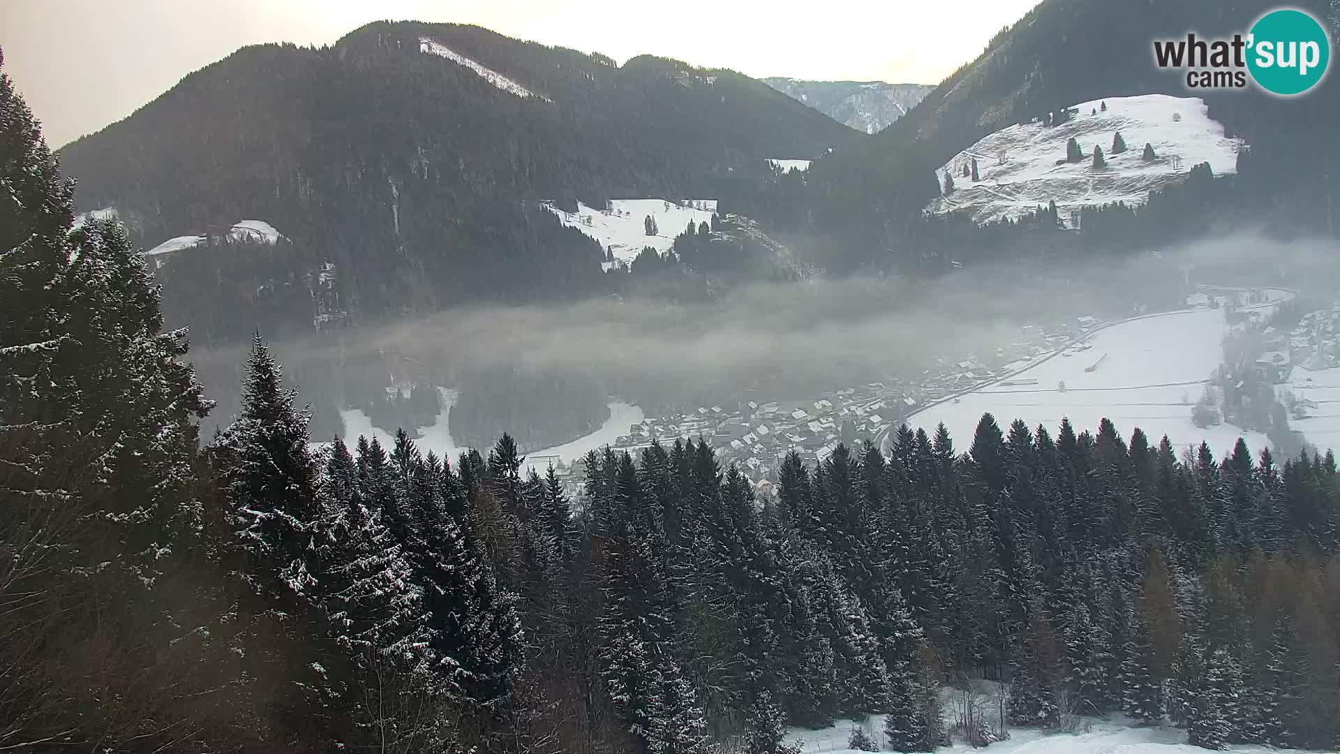 Vitranc Kranjska Gora webcam | VITRANC 1 stazione superiore
