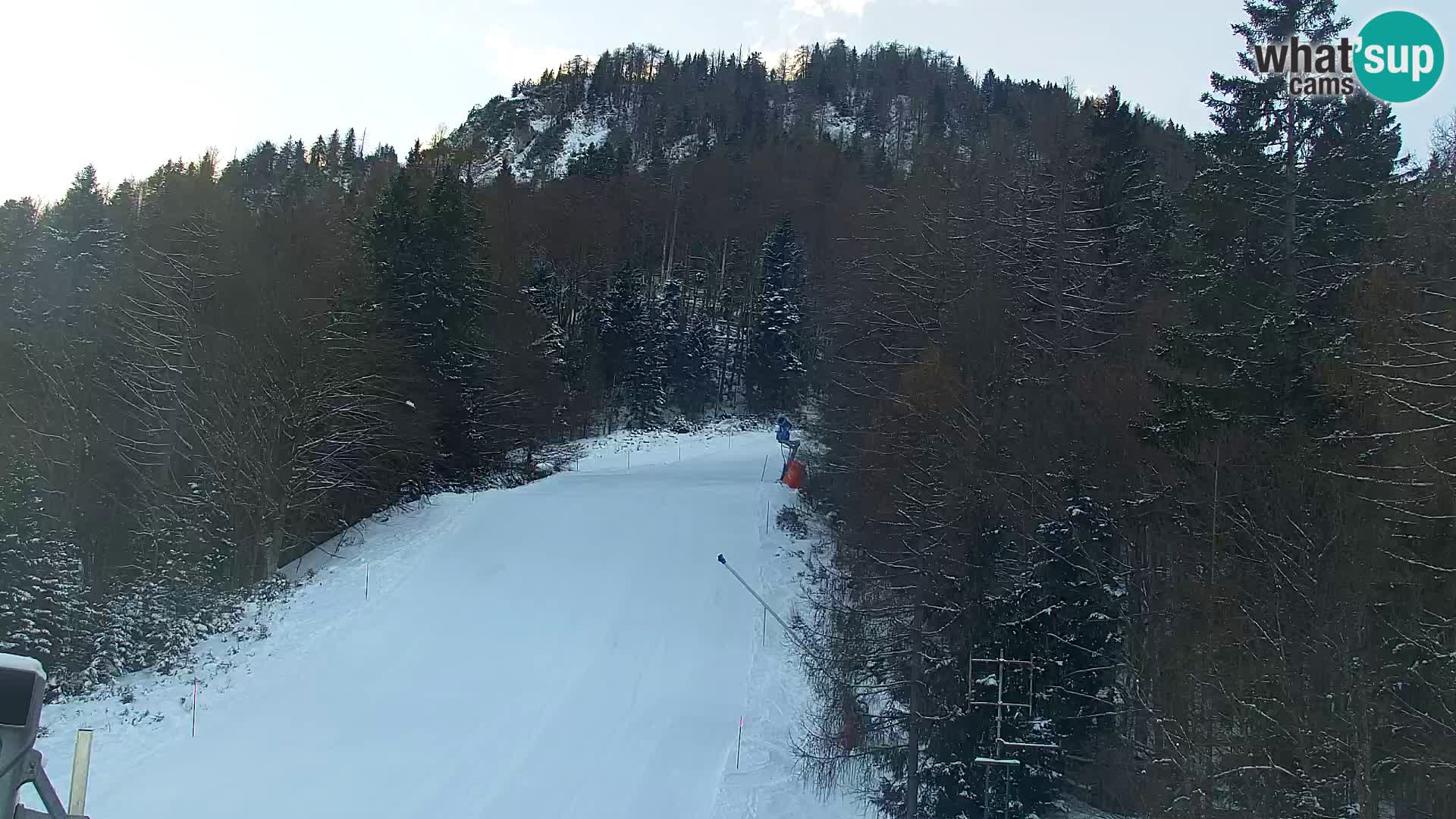 Vitranc Kranjska Gora webcam | VITRANC 1 stazione superiore