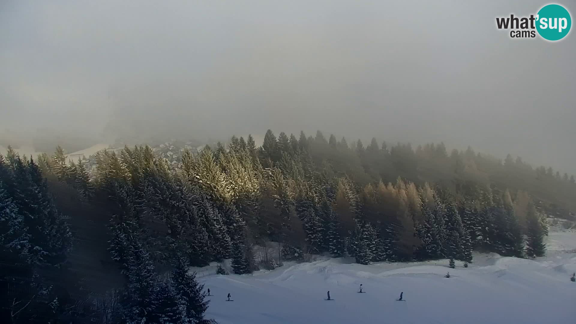 Vitranc Kranjska Gora webcam | VITRANC 1 stazione superiore