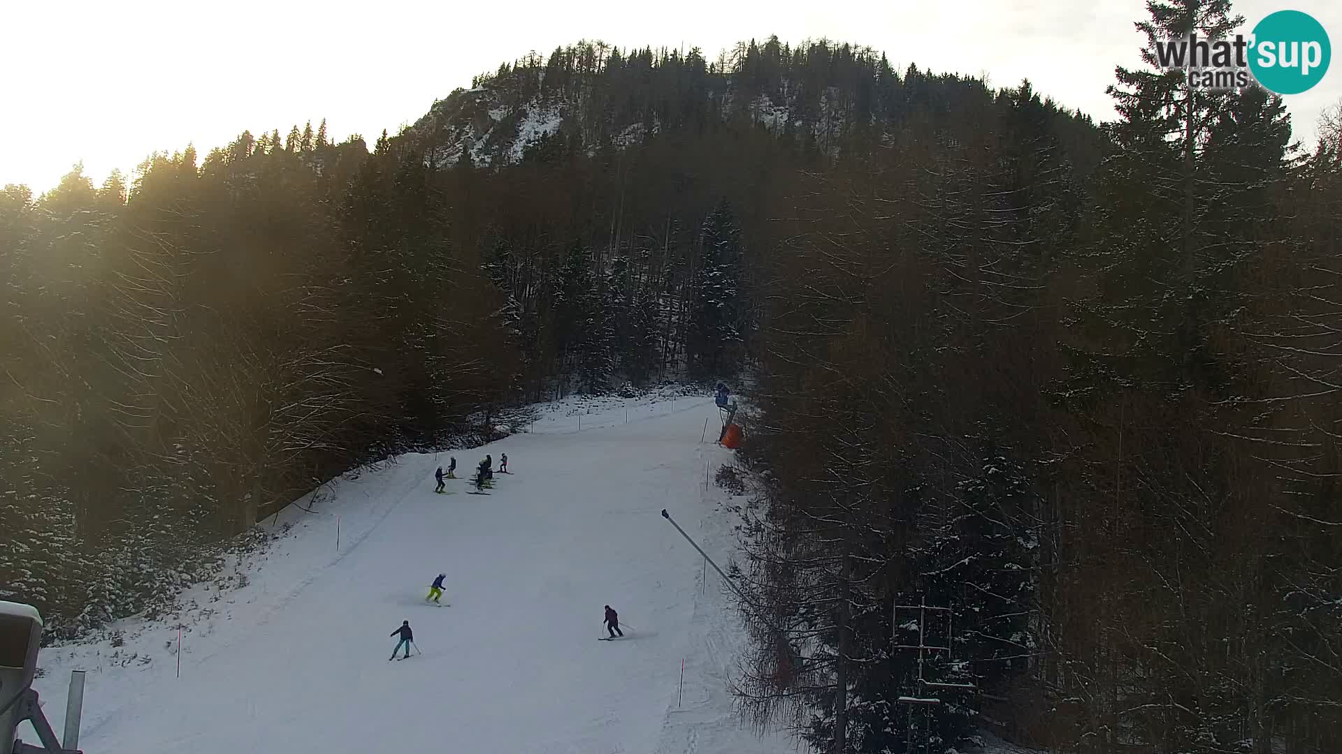 Vitranc Kranjska Gora webcam | VITRANC 1 stazione superiore