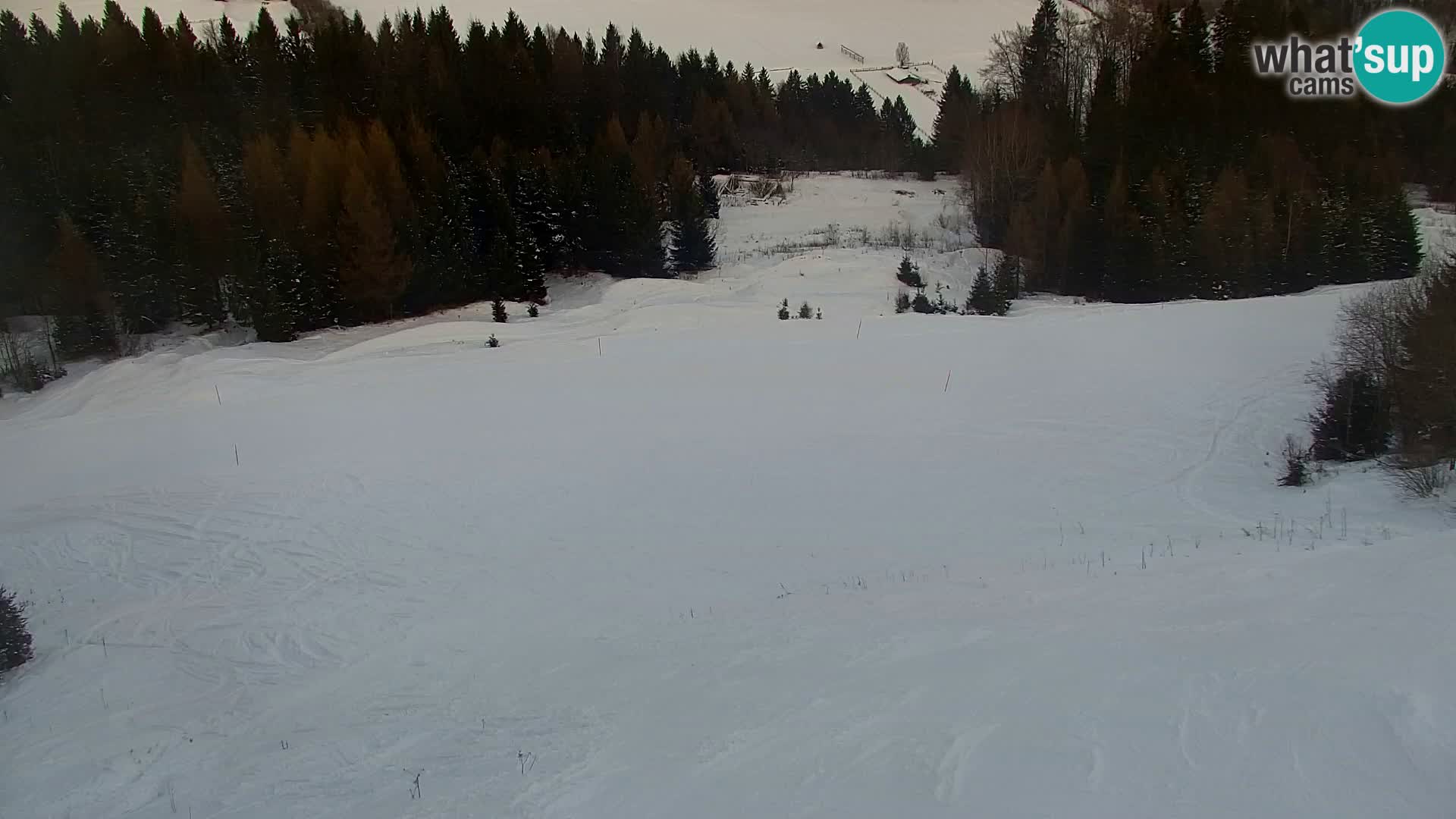 Vitranc Kranjska Gora webcam | VITRANC 1 stazione superiore