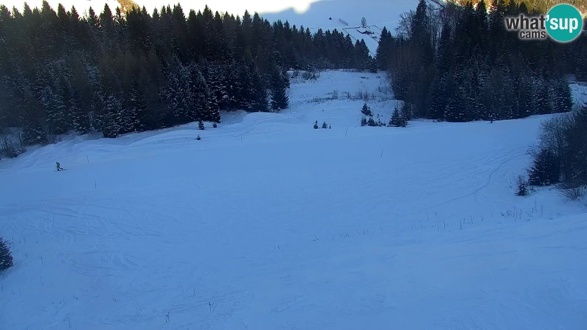 Vitranc Kranjska Gora webcam | VITRANC 1 stazione superiore