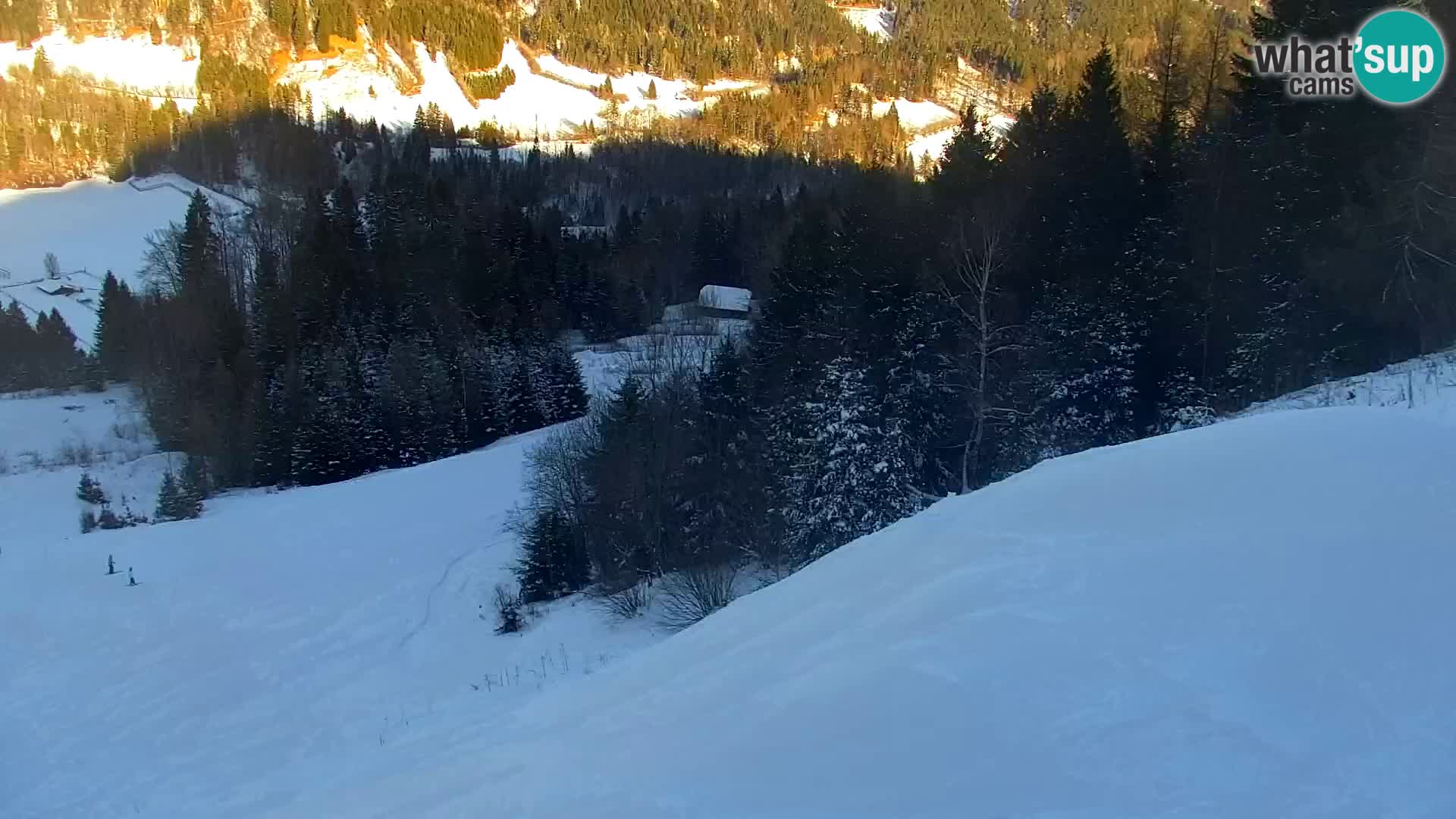 Kranjska Gora livecam VITRANC 1 | estación superior