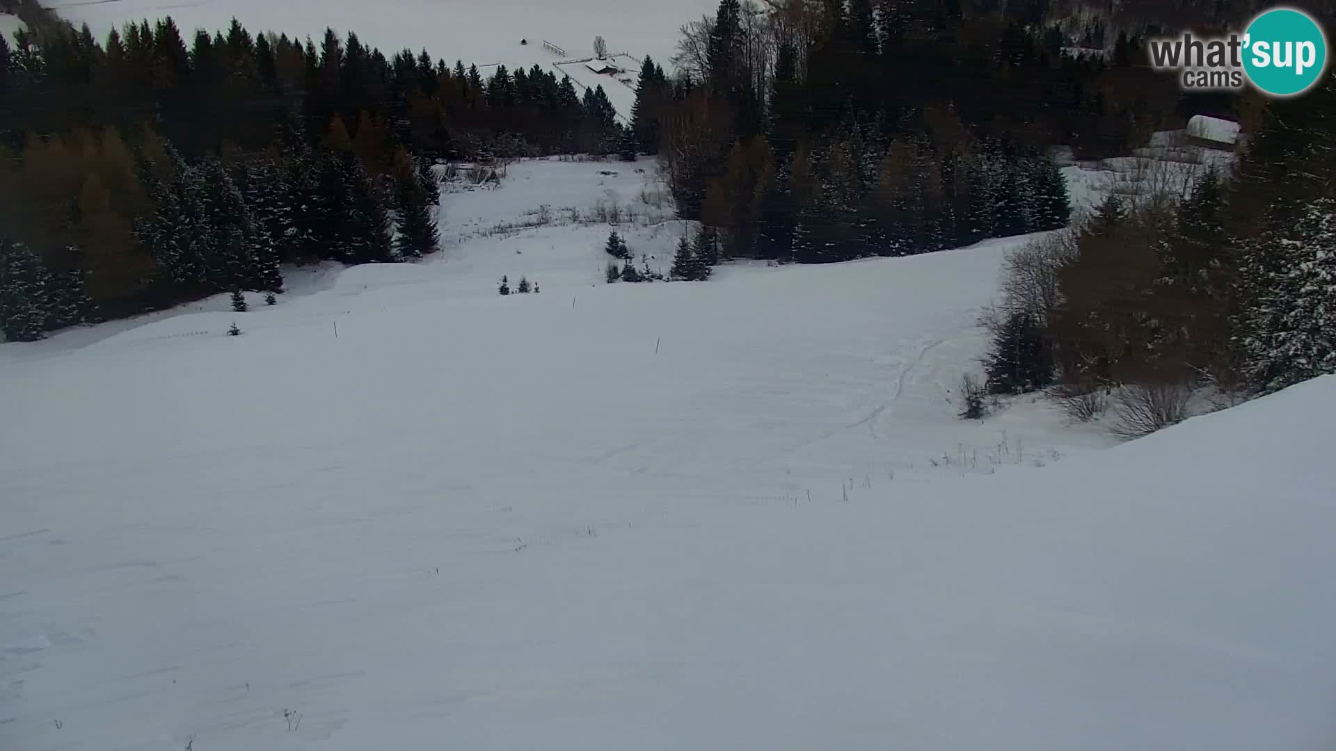 Vitranc Kranjska Gora webcam | VITRANC 1 stazione superiore